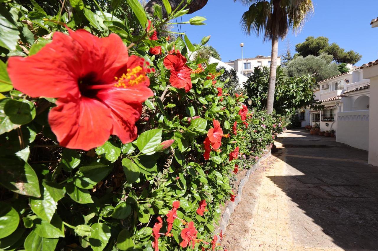 בנאלמדנה Quaint 2 Bedroom Townhouse With Pool Close To Sea! מראה חיצוני תמונה